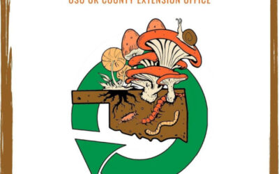 A Successful OCC 2021